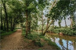 Saint-Julien-en-Genevois_Saint-Julien-en-Genevois - Brice_Souvansanouk