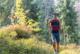 Randonneur dans la forêt - Seb Montaz