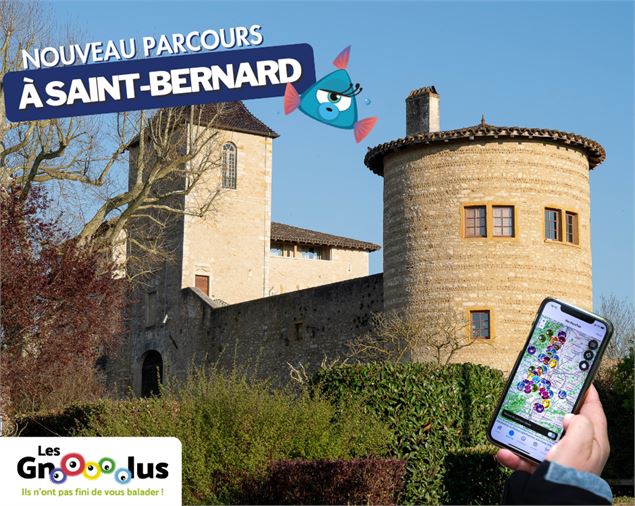Les Gnolus - 