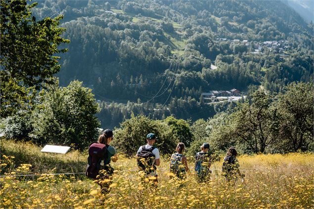 Randonnée pédestre: circuit des Chavonnes_Villaroger - Yann Allègre