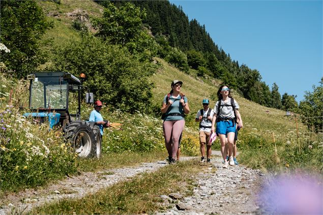 Randonnée pédestre: circuit des Gorges_Villaroger - Yann Allègre