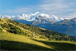 Col de Joux Plane - - © Savoie Mont Blanc - Anglade