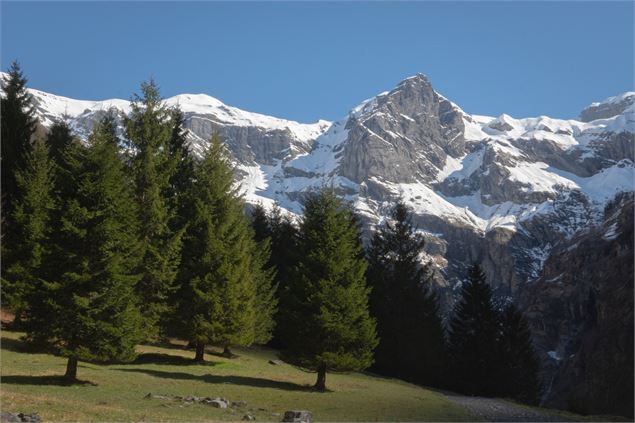 Balade découverte du Cirque du Fer-à-Cheval au printemps_Sixt-Fer-à-Cheval - Laurelyne Gervais