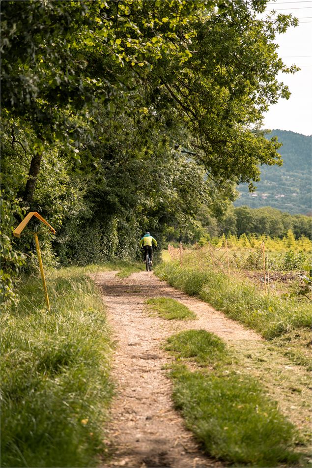 Plateau de Loëx_Bonne - Brice Souvansanouk