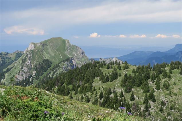 Vue depuis la Pointe d'Ireuse sur le Mont Billiat - Victor Demilly / Vallée d'Aulps Tourisme