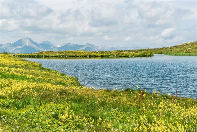 Vue panoramique sur le Grand Lac - Vincent Lottenberg