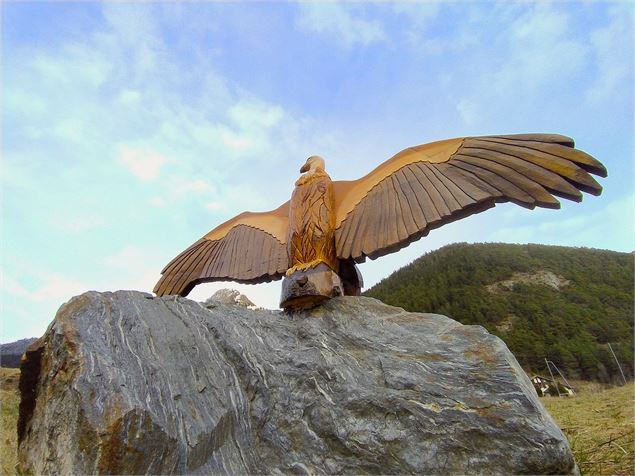 Vautour les ailes déployées, sur un rocher - C.Vair