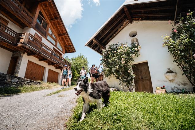 Groupe de randonneurs avec chien - Yann Allègre