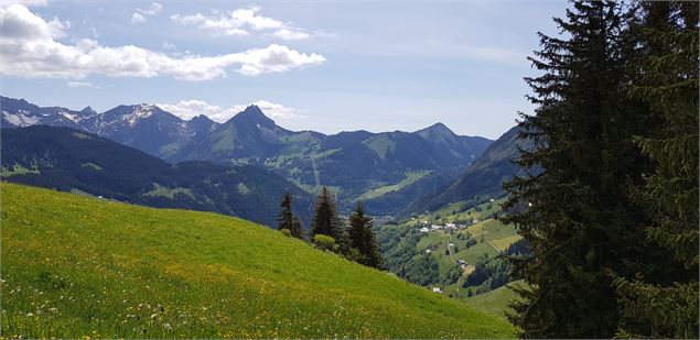 Vue depuis le Mont - Florence Billoud - Mairie d'Abondance