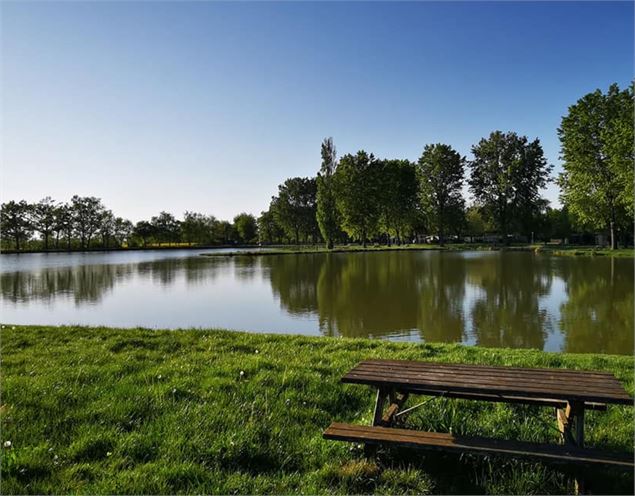 Etang de pêche_Ambérieux-en-Dombes - L'Oasi'Ain restaurant