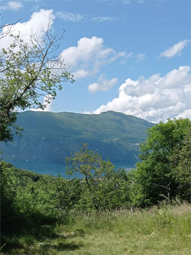 Lac depuis le belvédère du Corsuet - Johanna GAUTHIER