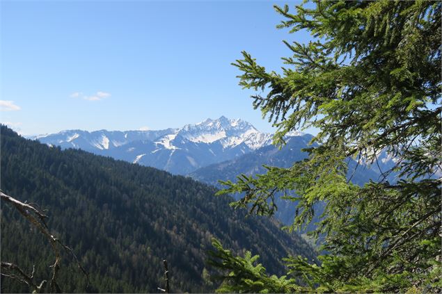 Vue sur le Roc d'Enfer - Victor Demilly / Vallée d'Aulps Tourisme