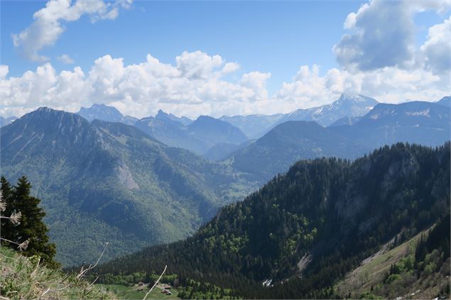Monts du Chablais - Victor Demilly / Vallée d'Aulps Tourisme
