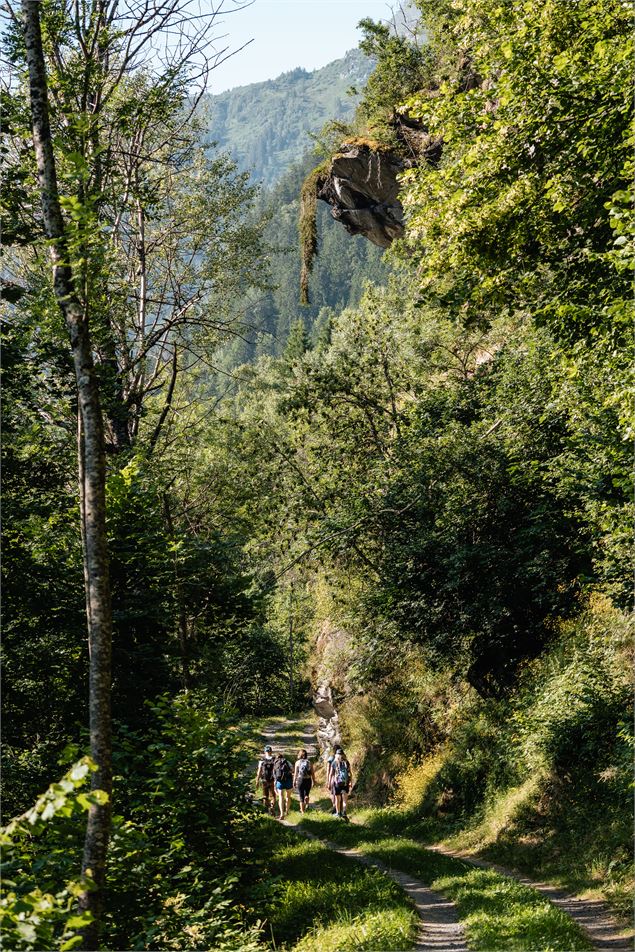 Randonneurs en forêt - Yann Allègre