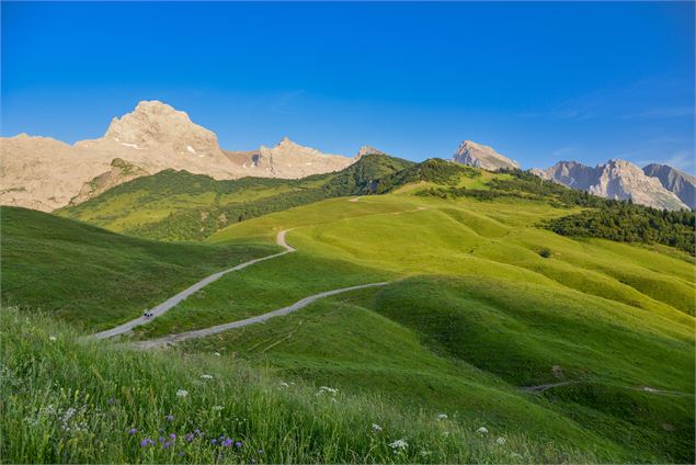 Vue depuis le Col des Annes - D.Machet-Le-Grand-Bornand