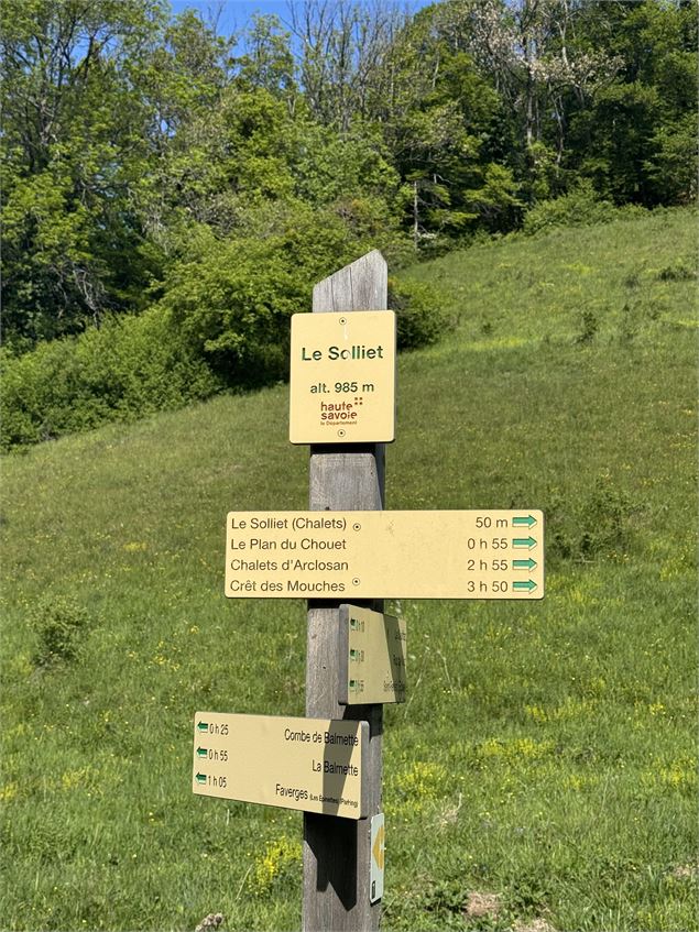 Randonnée pédestre : Boucle au Roc de Viuz par le plan du Chouet (grande boucle)_Saint-Ferréol - OTS