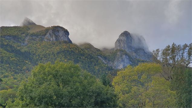 Sentier botanique de St-Ferreol - OTSLA