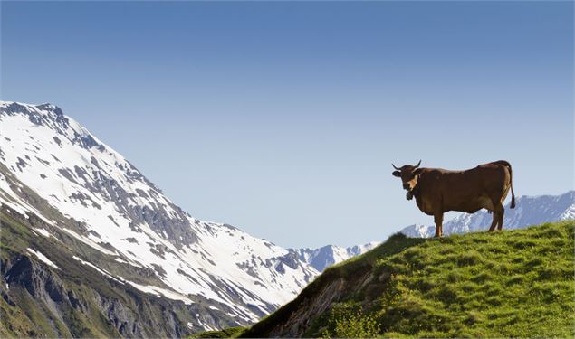 Cormet de Roselend vers le Col du Grand Fond