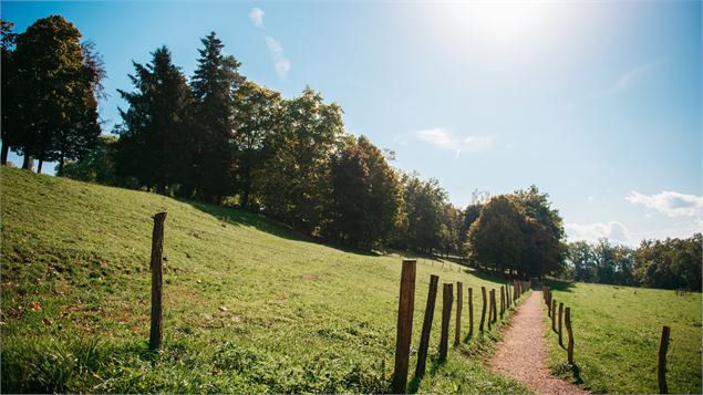 Itinéraire pédestre - Le sentier des vieilles vignes_Contamine-sur-Arve - OTFG