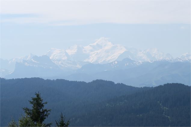 Le Mont Caly depuis le Col de l'Encrenaz_La Côte-d'Arbroz - Victor Demilly / Vallée d'Aulps Tourisme