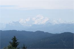 Le Mont Caly depuis le Col de l'Encrenaz_La Côte-d'Arbroz - Victor Demilly / Vallée d'Aulps Tourisme