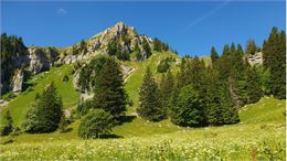 Itinéraire pédestre - Le circuit des Auges depuis les Glières_Fillière - OTFG