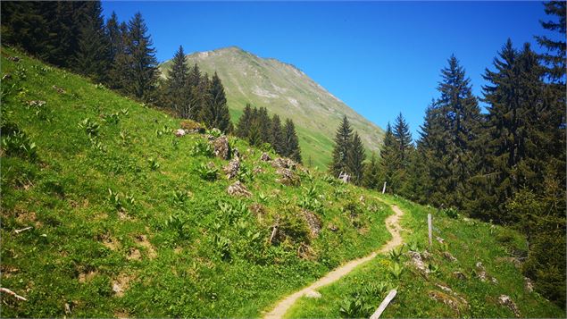 Itinéraire pédestre - Le Môle depuis les Granges_Marignier - OTFG