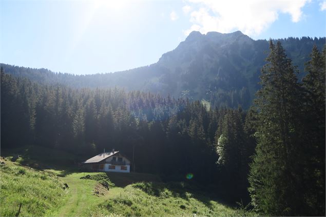 Chalet d'alpage et Pic de la Corne - Victor Demilly / Vallée d'Aulps Tourisme