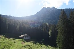 Chalet d'alpage et Pic de la Corne - Victor Demilly / Vallée d'Aulps Tourisme