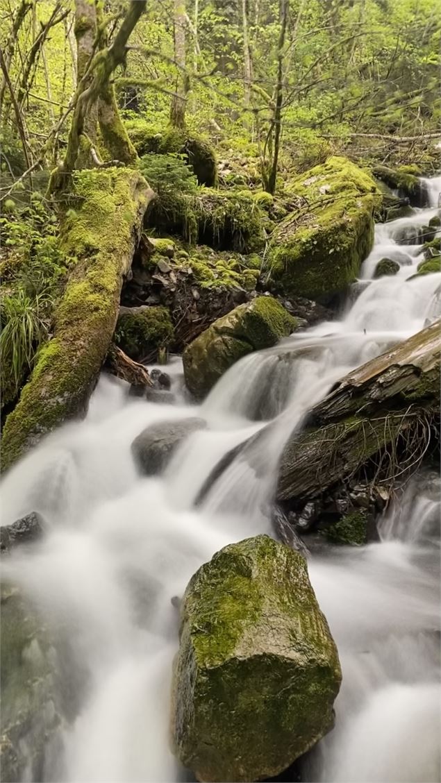 Balade à la cascade du Creux de l'Enfer_Chevaline - OTSLA