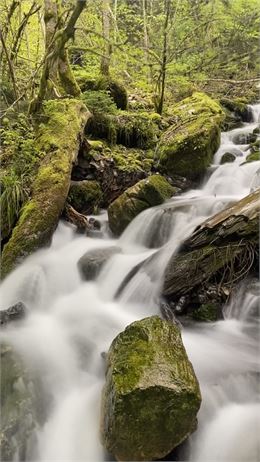 Balade à la cascade du Creux de l'Enfer_Chevaline - OTSLA