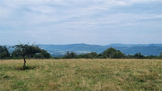 Belvédère du Mont de Rignat - Vignes de Journans et Rignat_Journans - scalland
