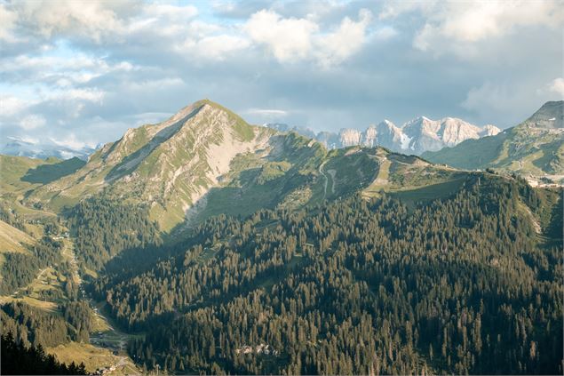 Randonnée pédestre : le Col de Bassachaux par la Tête de Lindaret_Montriond - Lucie Tanguy / Vallée