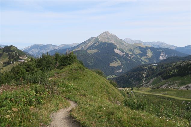 Vue sur le Mont de Grange - Victor Demilly / Vallée d'Aulps Tourisme