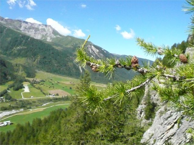 Montée cyclo à Peisey - Rosuel - Agate