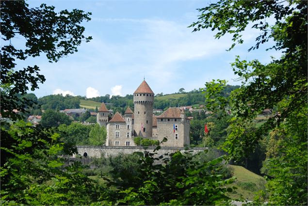 Vue sur le château de Montrottier à Lovagny - SavoieMontBlanc-Chabance