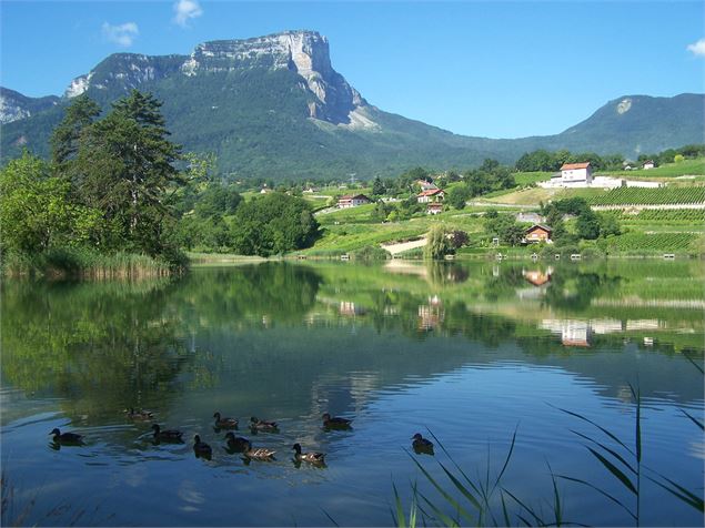 Montée cyclo du Col du Granier depuis Chambéry - SavoieMontBlanc-Teso-Quenard