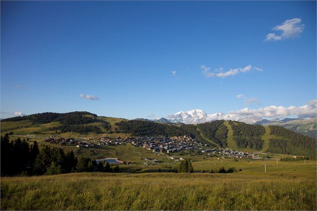 Vue sur le Mont Blanc - P Somelet