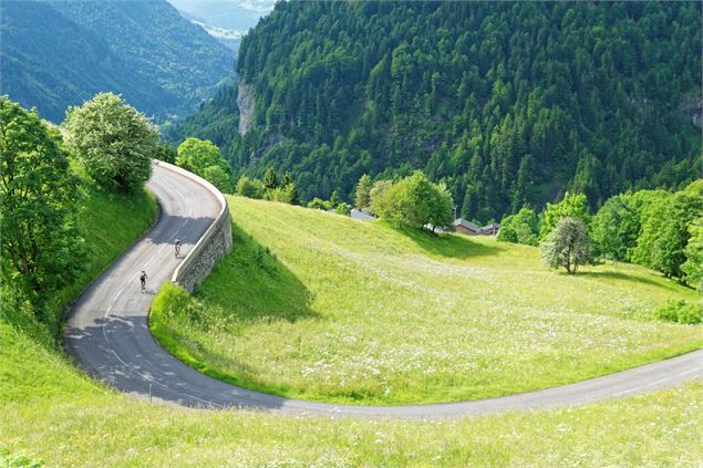 Passage dans l'alpage près du Col - © Explore Savoie - Anglade