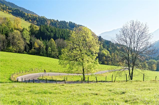 Col de la Forclaz - © Savoie Mont Blanc - Anglade