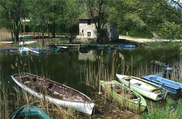 Le Lac de Barterand - Jean Pierre GOTTI /Aintourisme
