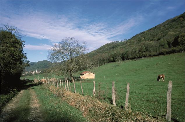 Paysage du Revermont - G. Brevet / Aintourisme