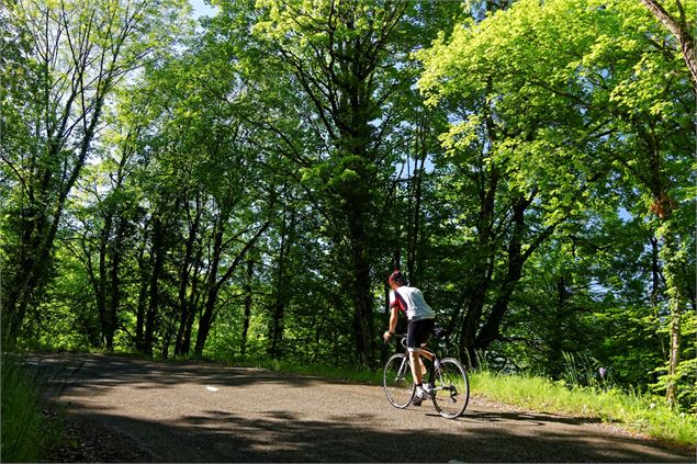 Boucle Cyclo : Les Hauts d'Esserts-Blay - Savoie Mont Blanc - Anglade