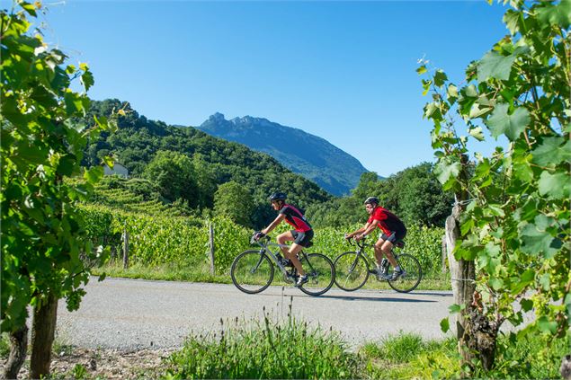 passage vers Billème - © Explore Savoie - Lansard