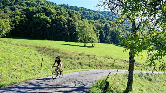 petite route en cœur de Savoie - © Savoie Mont Blanc - Anglade