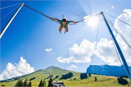 Bungy trampoline - David Machet