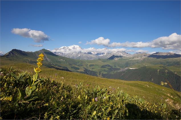 La croix du Mont Clocher - P. Somelet