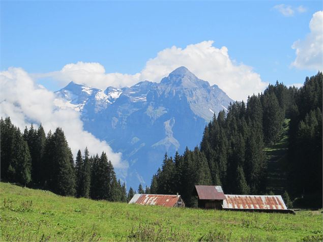 Itinéraire pédestre : lac de Gers depuis Lédedian - SIVHG