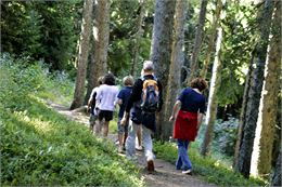 Sentier découverte forestière - L.DiOrio