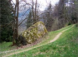 Sentier géologique "Sur la trace des glaciers" - OT Les Houches